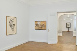 2026_REQ_Installation Views_Galerie Michael Werner, Berlin_Photo Sebastian Eggler