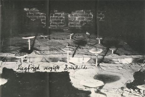 Anselm Kiefer - Neue Bilder